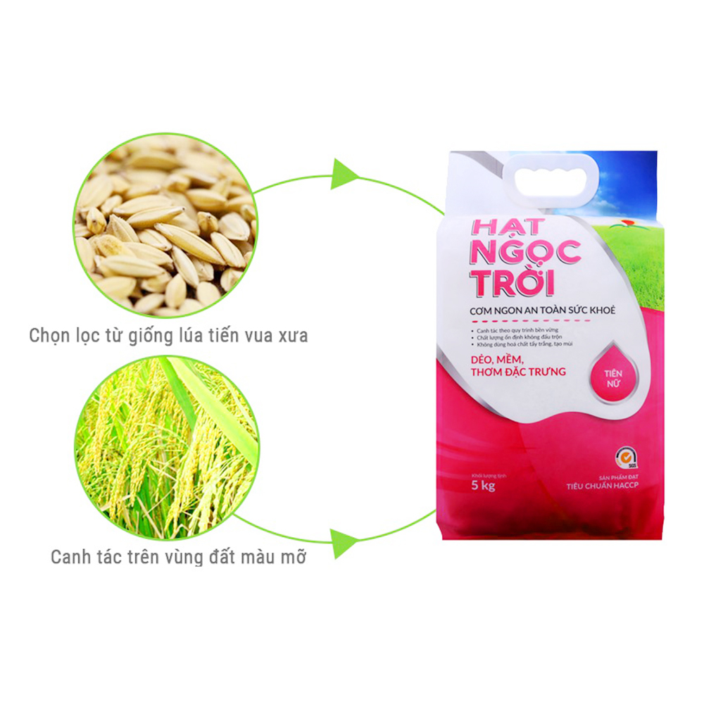(HỘ KINH DOANH) NGUYỄN THỊ NHANH EM